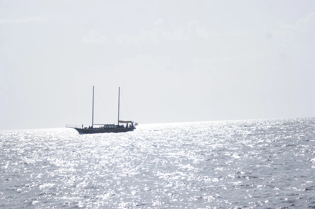 A sailing boat on a whale and dolphin watching trip off Madeira